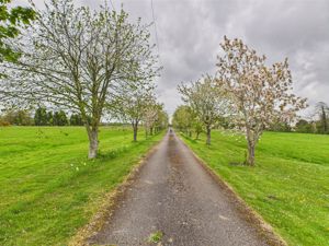 Private Tree Lined Driveway- click for photo gallery